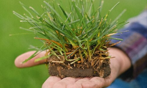 make sure you’re not paying too much capital gains tax