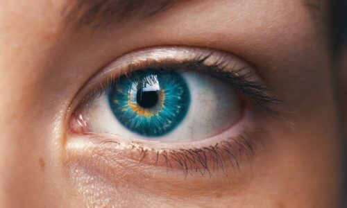 business cash flow forecast will give you vital business intelligence