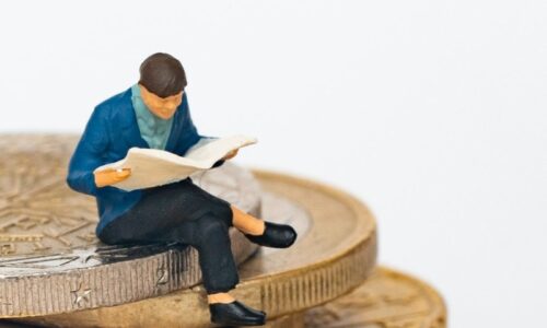 What is a Director Identification Number?