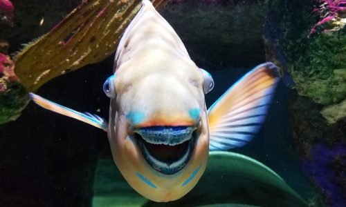 91% of Customers prefer a brand that makes them laugh