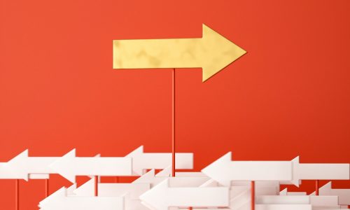 what your P&L report reveals about your finances